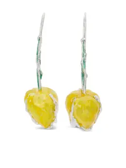 Marni: Серьги 