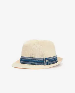 Barbour: Шляпа 