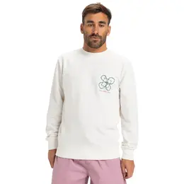 Quiksilver: Толстовка с принтом 