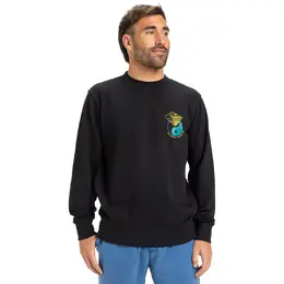 Quiksilver: Толстовка с принтом 