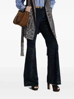 ETRO: Брюки с принтом 