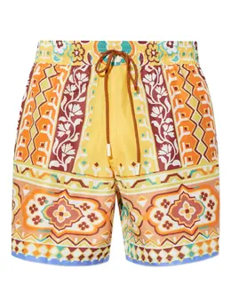 ETRO: Плавки 