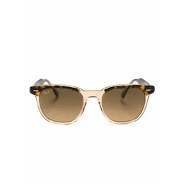 Ray-Ban: Очки 