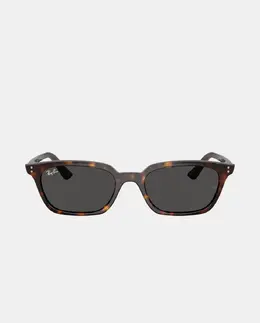 Ray-Ban: Очки 