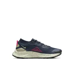 NIKE: Голубые кеды  Pegasus Trail 3