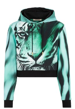 Roberto Cavalli: Трикотажный свитшот 
