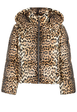 Roberto Cavalli: Коричневая куртка 