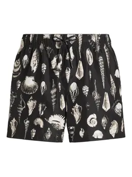 Dolce & Gabbana: Плавки 