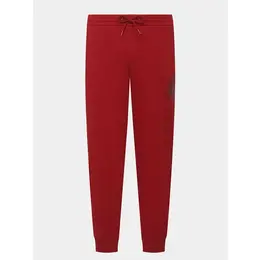 Armani Exchange: Спортивные брюки 