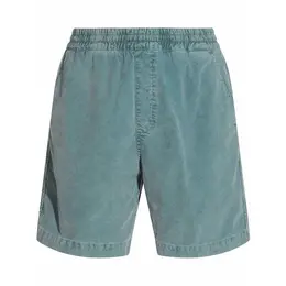Carhartt WIP: Зелёные шорты 
