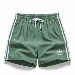 adidas: Спортивные шорты 