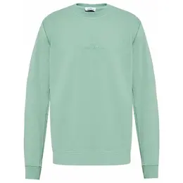 Stone Island: Зелёный свитшот 