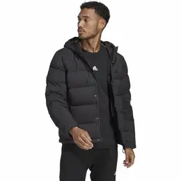 adidas: Пуховик с капюшоном 