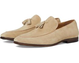 Steve Madden: Кроссовки 