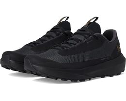 Arc'teryx: Чёрные кроссовки 