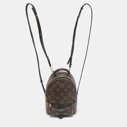 Louis Vuitton: Коричневый рюкзак 