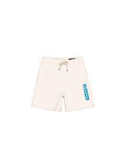 Alpha Industries: Брюки с принтом 