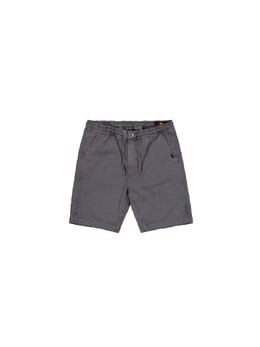 Alpha Industries: Серые брюки 
