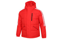 Adidas: Пуховик 