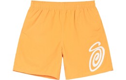Stussy: Повседневные шорты 