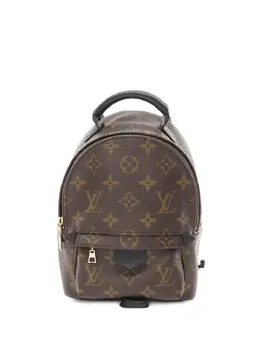 Louis Vuitton Pre-Owned: Коричневый рюкзак 