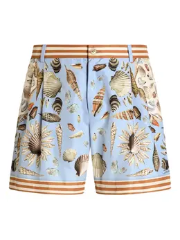 Dolce & Gabbana: Шорты с принтом 