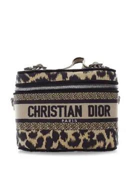 Christian Dior Pre-Owned: Сумка с леопардовым принтом 