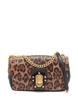 Dolce & Gabbana Pre-Owned: Сумка с леопардовым принтом 