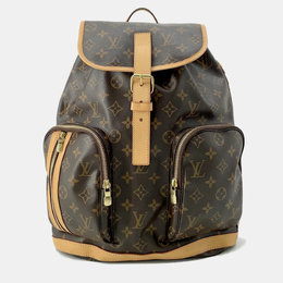 Louis Vuitton: Коричневый рюкзак 