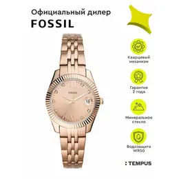FOSSIL: Часы 