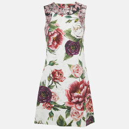 Dolce & Gabbana: Многоцветное платье  Rose