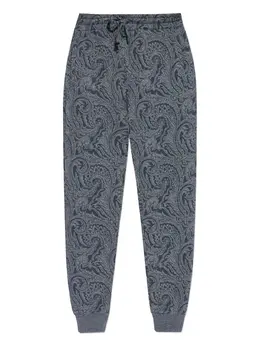 ETRO: Брюки с принтом 