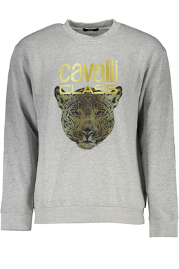 cavalli CLASS: Серая толстовка 