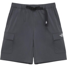 The North Face: Шорты 