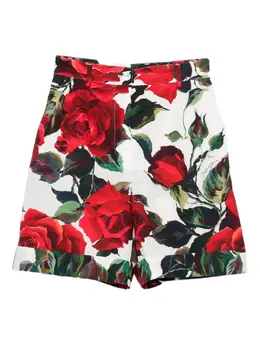 Dolce & Gabbana: Шорты  Rose с принтом