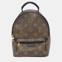Louis Vuitton: Коричневый рюкзак 