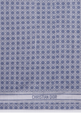 DIOR: Синий шарф 