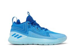 Adidas: Синие кроссовки  Derrick Rose