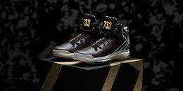 Adidas: Чёрные кроссовки  Derrick Rose