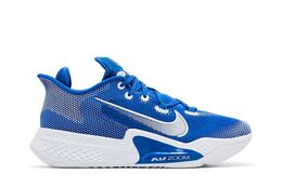Nike: Синие кроссовки  Air Zoom BB NXT