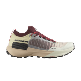 Salomon: Кроссовки 