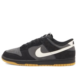 Nike: Многоцветные кроссовки  Dunk Low