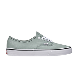 Vans: Серые кроссовки  Authentic