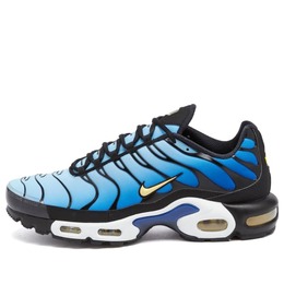 Nike: Многоцветные кроссовки  Air Max Plus OG