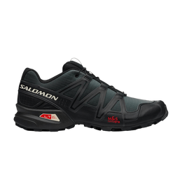 Salomon: Чёрные кроссовки 