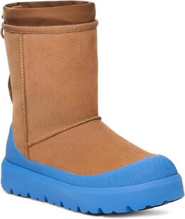 UGG: Ботинки  Classic Short