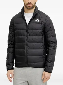 adidas: Куртка с принтом 