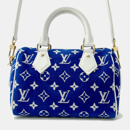 Louis Vuitton: Голубая сумка  Speedy