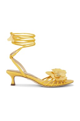 Sam Edelman: Сандалии 