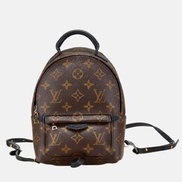 Louis Vuitton: Коричневый рюкзак 